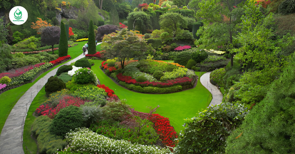 29 Stunning Zinnia Garden Bed Ideas 3 11