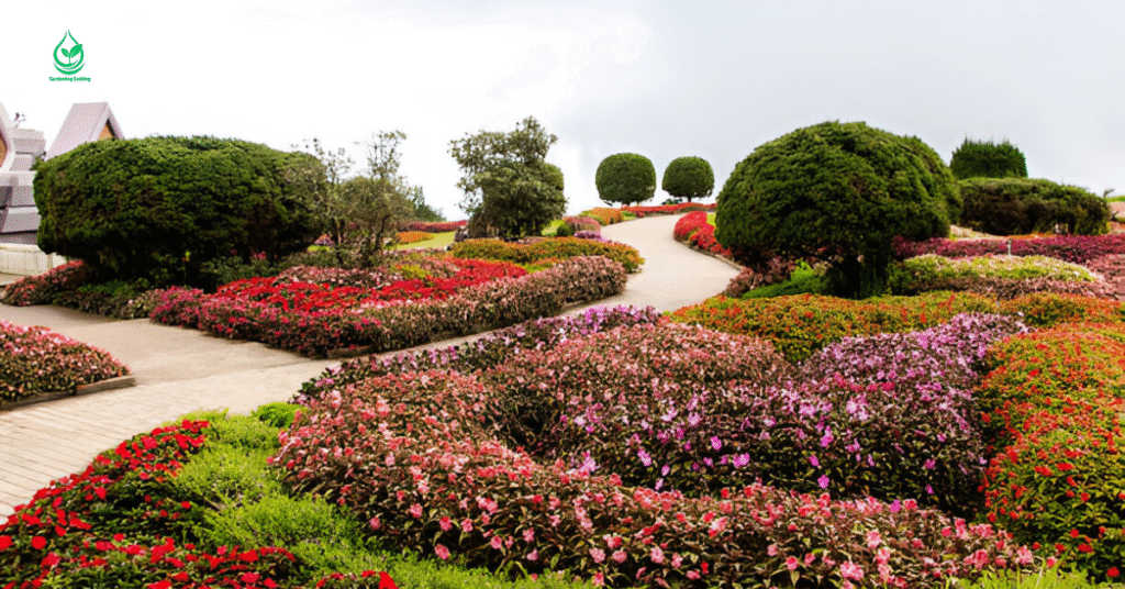 29 Stunning Zinnia Garden Bed Ideas 7 15