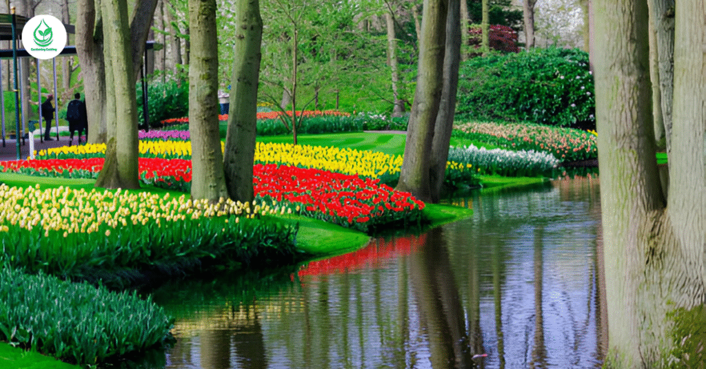 29 Stunning Zinnia Garden Bed Ideas 12 22