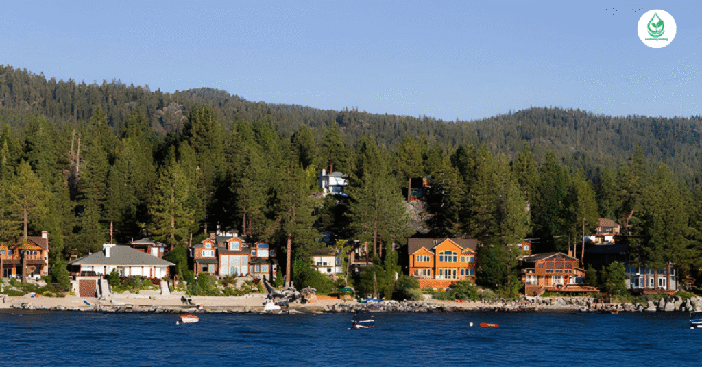 6 Lake Tahoe Cabins for a Perfect Getaway 4 1