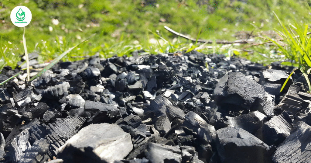 5 Coal Effects on Soil: How Coal Changes the Earth Beneath Us 5 1 9