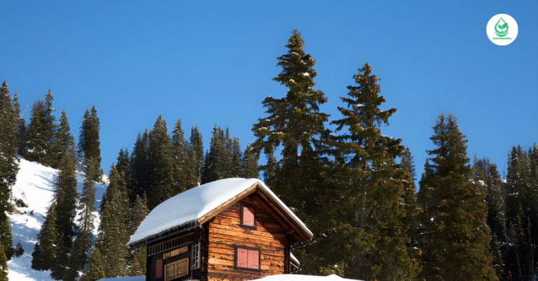 6 Cabins in the Mountains: A Peaceful Escape into Nature’s Heart (Part 1) 16 6 Cabins in the Mountains: A Peaceful Escape into Nature’s Heart (Part 1)