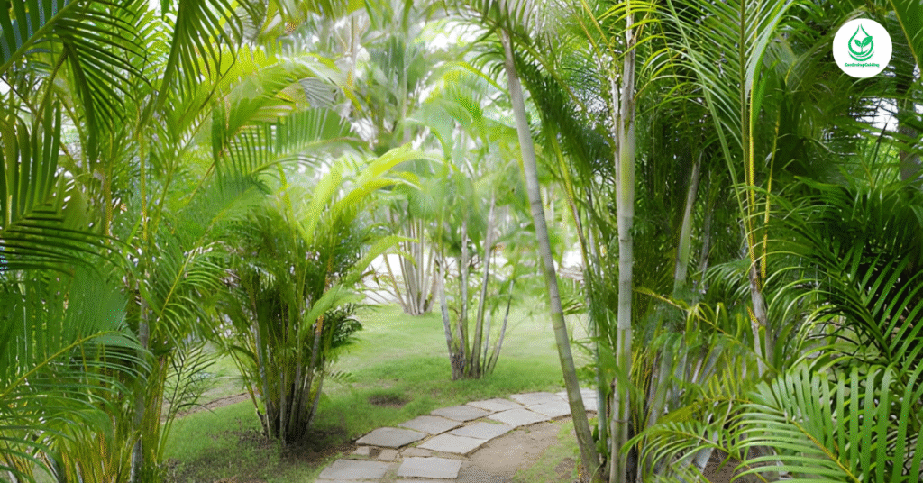 5 Bamboo Garden: Why It’s the Best Eco-Friendly Landscaping Choice 13 10 6