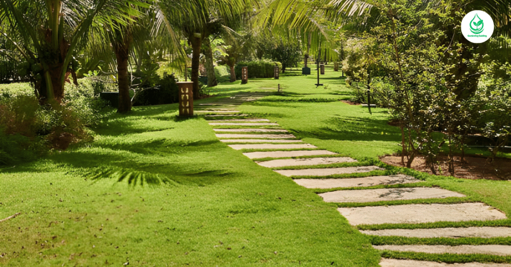 5 Bamboo Garden: Why It’s the Best Eco-Friendly Landscaping Choice 9 11 4