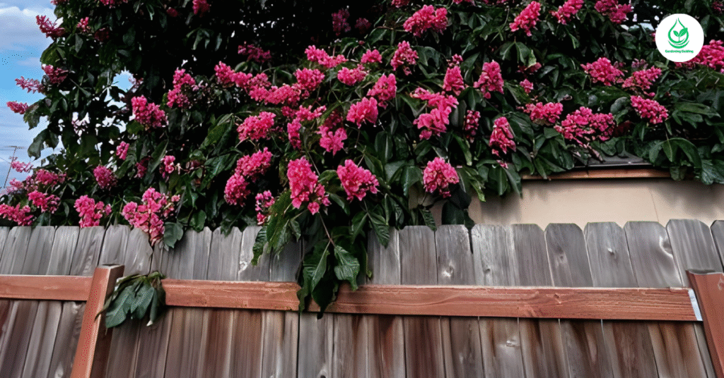 6 Rhododendron Care: How to Keep Your Blooms Vibrant 5 12 1