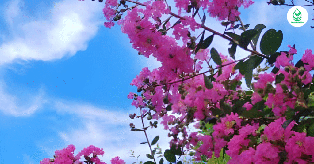 6 Rhododendron Care: How to Keep Your Blooms Vibrant 6 3 10