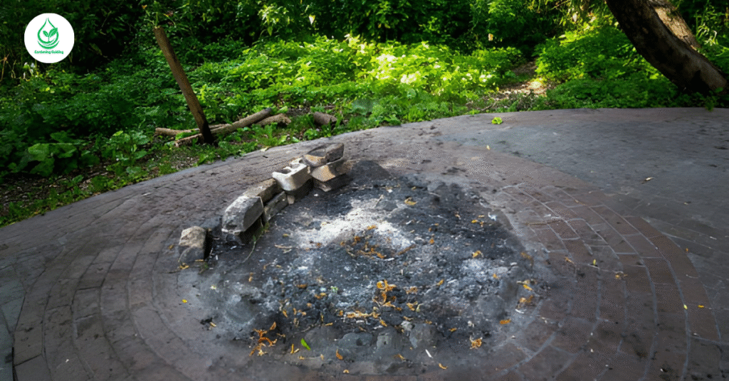 5 Coal Effects on Soil: How Coal Changes the Earth Beneath Us 7 3 11