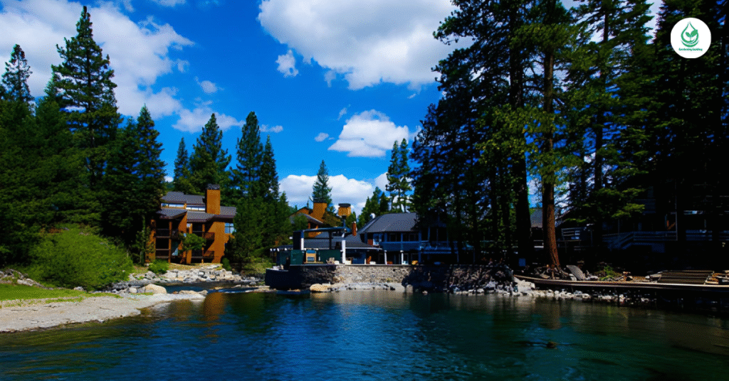 6 Lake Tahoe Cabins for a Perfect Getaway 9 4