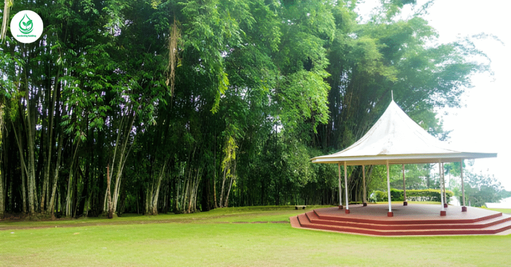 5 Bamboo Garden: Why It’s the Best Eco-Friendly Landscaping Choice 7 4 12