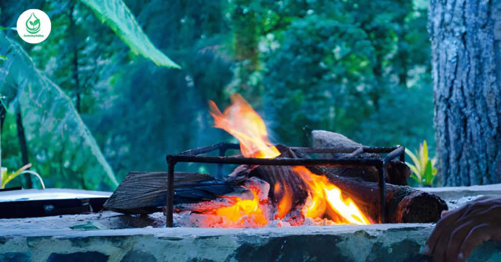 5 Coal Effects on Soil: How Coal Changes the Earth Beneath Us 3 5 10