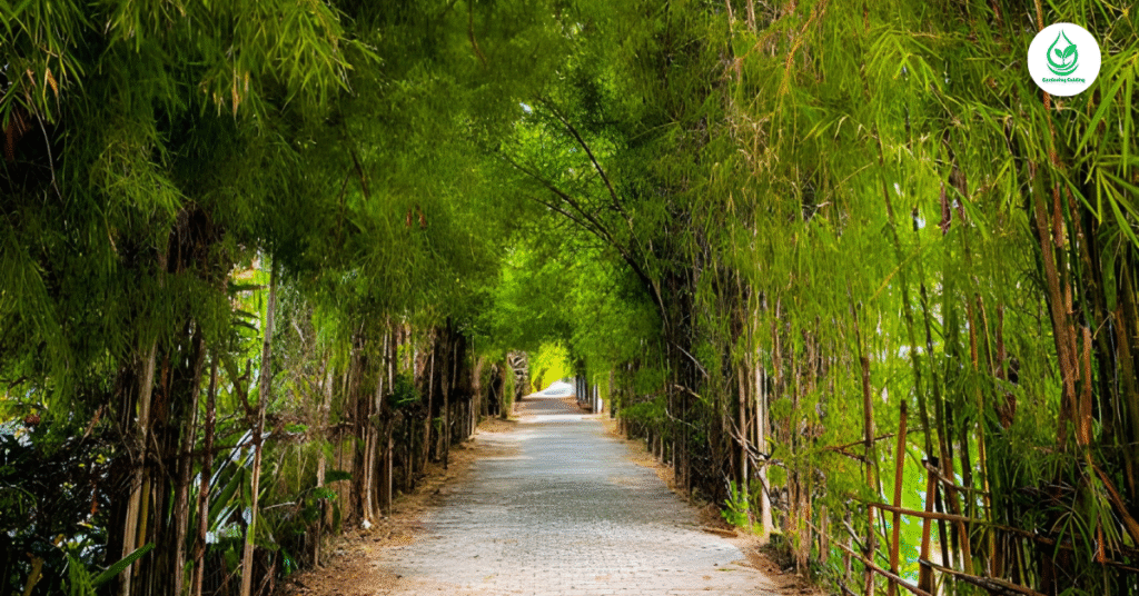 5 Bamboo Garden: Why It’s the Best Eco-Friendly Landscaping Choice 8 5 11