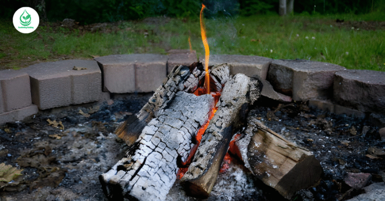 5 Coal Effects on Soil: How Coal Changes the Earth Beneath Us 9  5 Coal Effects on Soil: How Coal Changes the Earth Beneath Us