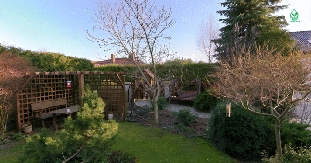 6 Small Garden Design Ideas to Transform Tiny Spaces into Green Retreats 10 8 4