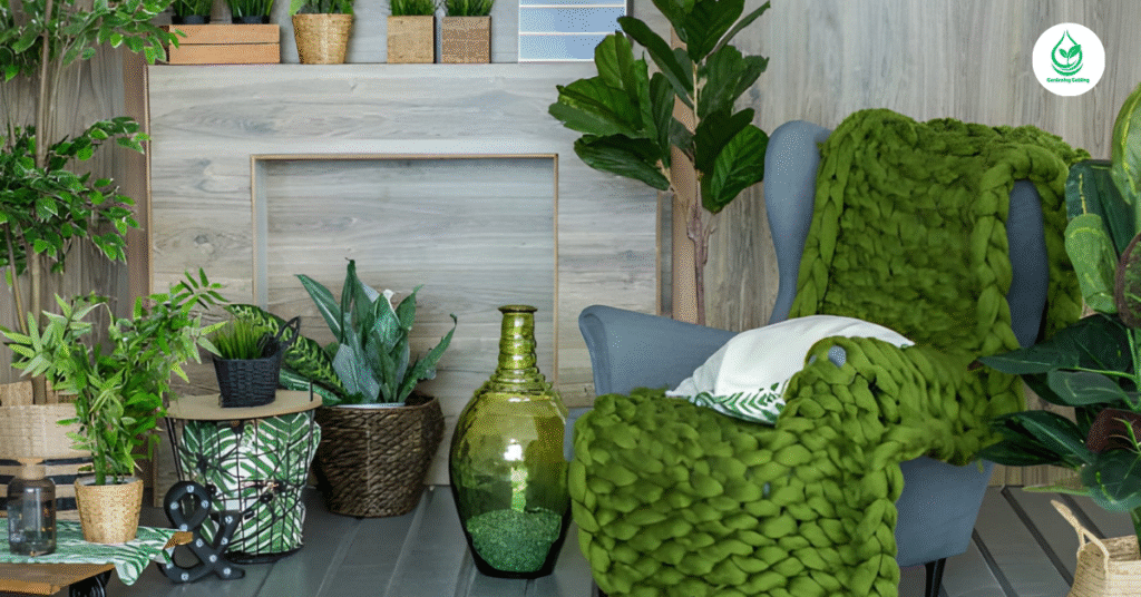 6 Swiss Cheese Plant Varieties to Brighten Your Space 11 9 1