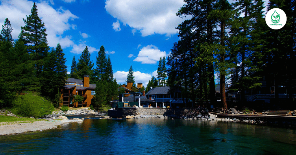6 Lake Tahoe Cabins for a Perfect Getaway 5 9