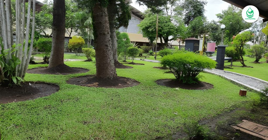 5 Bamboo Garden: Why It’s the Best Eco-Friendly Landscaping Choice 12 9 8